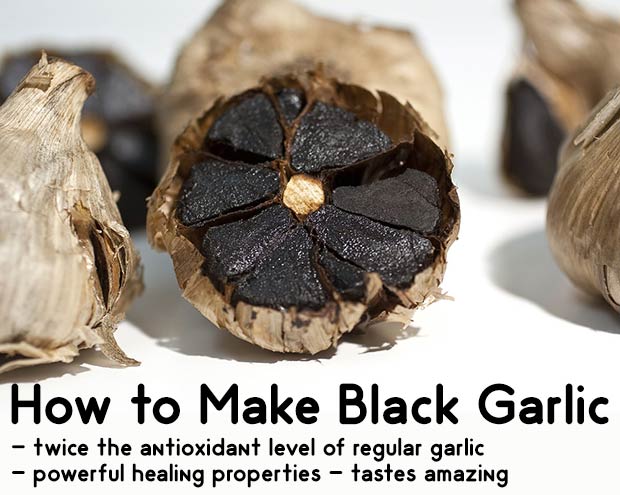 How To Make Your Own Black Garlic And It s Incredible Health Benefits 
